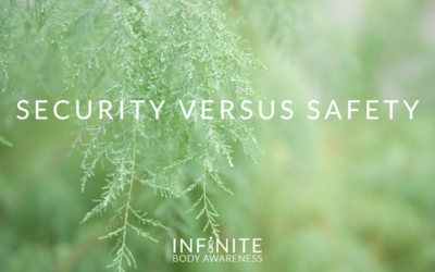 Security Versus Safety