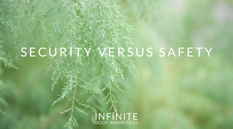 Security Versus Safety